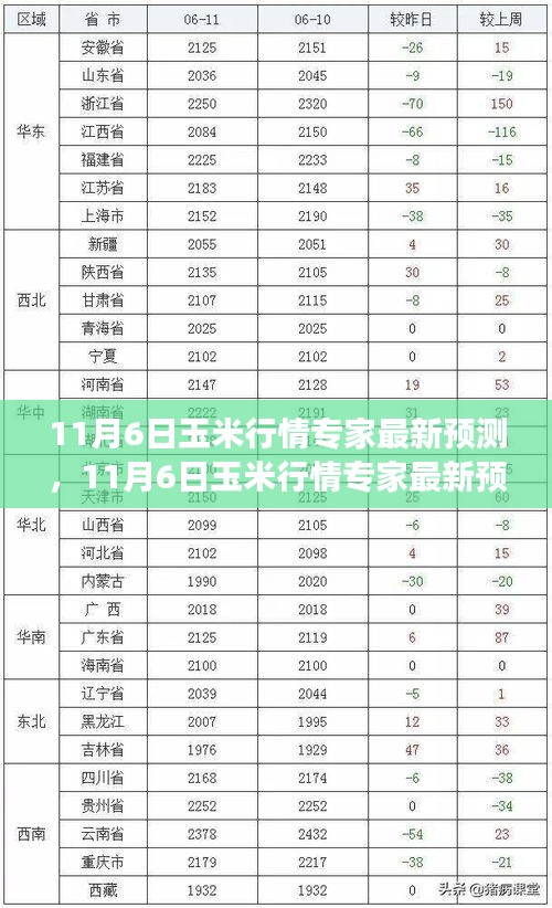 11月6日玉米行情最新预测及市场走势分析与展望