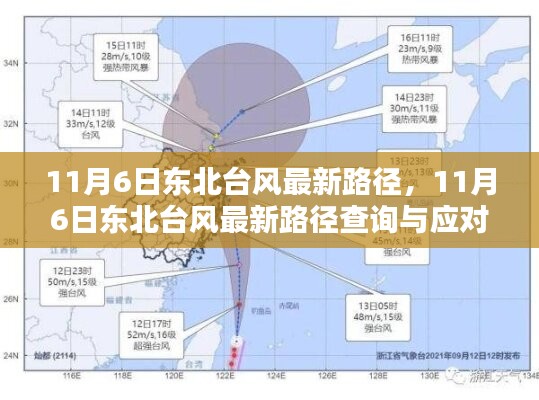 11月6日东北台风最新路径及应对指南（初学者进阶版）