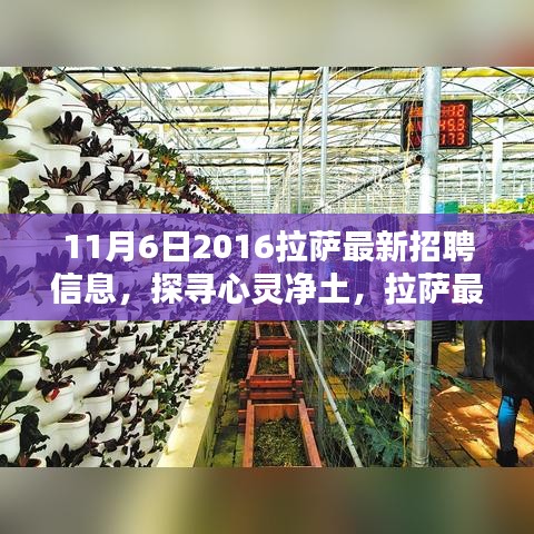 探寻心灵净土，拉萨最新招聘信息一览