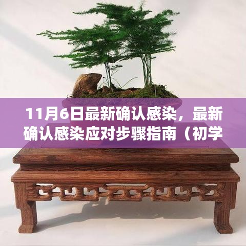 最新确认感染应对指南，初学者与进阶用户适用的步骤（11月6日更新）