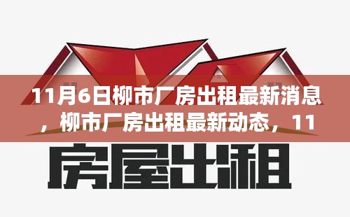 11月6日柳市厂房出租最新动态，全面更新，优质选择等你来！