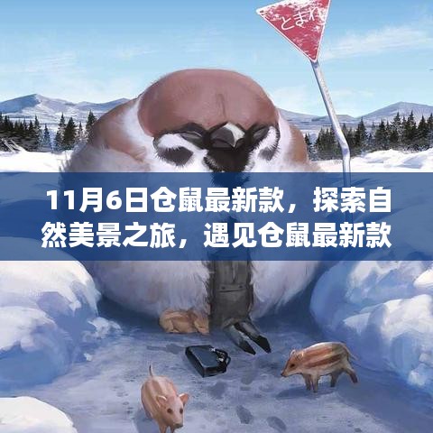 探索自然美景之旅，遇见最新款仓鼠，心灵的宁静港湾之旅