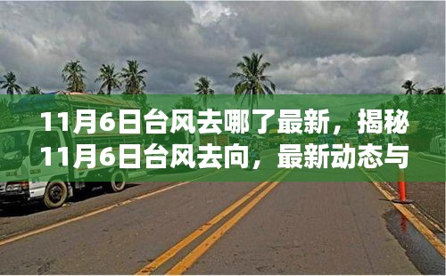 揭秘，11月6日台风去向及最新动态解析