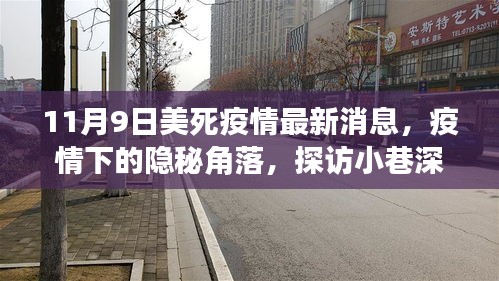 美国疫情下的隐秘角落，探访特色小店与最新疫情消息之旅（11月9日）