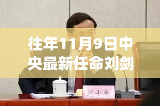 揭秘，中央新任命的刘剑背后的故事与未来展望