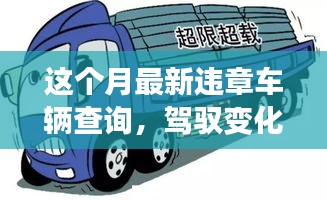 驾驭变化之轮，最新违章车辆查询背后的励志故事与实时追踪