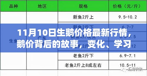 鹅价背后的故事，变化、学习与自信的力量——最新鹅价行情解析（11月10日）