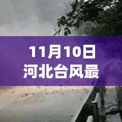 2024年11月11日 第28页