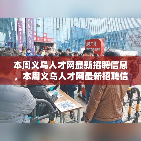 本周义乌人才网最新招聘信息全面解析