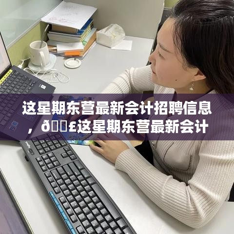 这星期东营会计招聘信息大揭秘，最新职位一网打尽📚✨