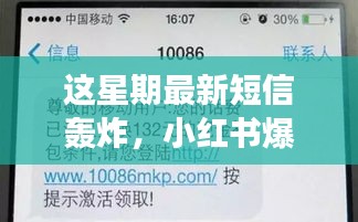 揭秘本周短信轰炸背后的秘密，小红书爆款引发轰炸潮！