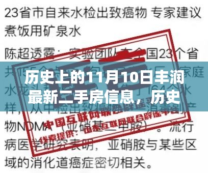 历史上的11月10日丰润二手房深度解读，市场趋势与个人选择观点汇总呈现