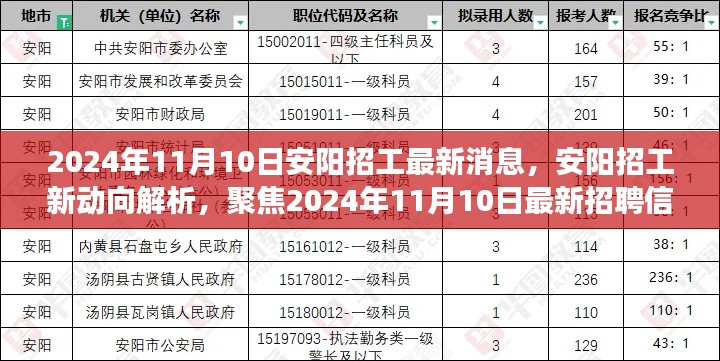 聚焦安阳招工新动向，解析最新招聘信息与观点解读（2024年11月）