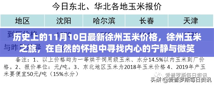 徐州玉米价格揭秘，自然怀抱中的心灵之旅与微笑的诞生