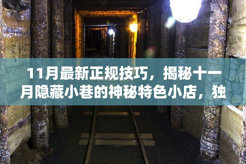 揭秘十一月小巷神秘特色小店，独家技巧探索独特环境之旅