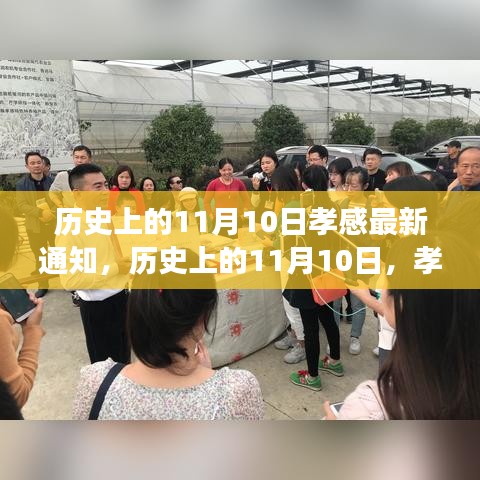 历史上的11月10日，孝感新篇章启幕，自信与成长的号角响起