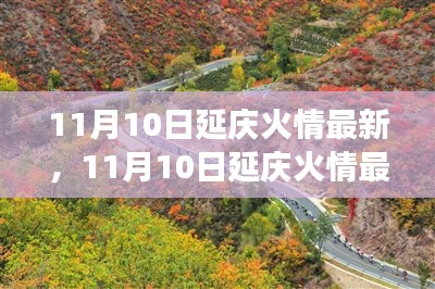 11月10日延庆火情最新，多方观点深度解析与个人立场阐述