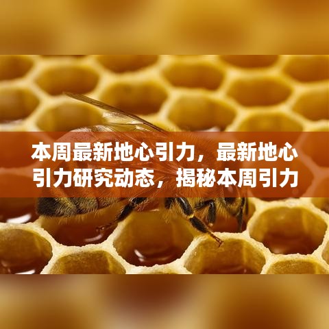 揭秘本周地心引力研究动态，最新引力科学热点一网打尽