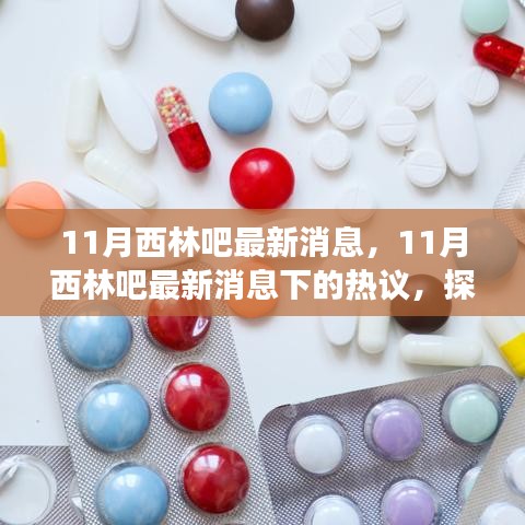 11月西林吧最新消息热议，探析不同观点与个人立场探讨