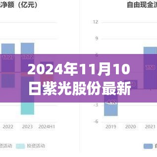 揭秘未来科技新纪元，紫光股份引领变革，重磅股票消息发布于2024年11月10日