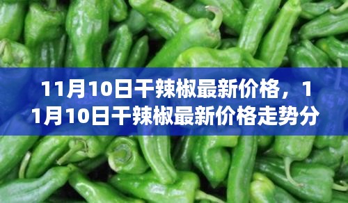 11月10日干辣椒最新价格及走势分析，多方观点碰撞与个人立场阐述