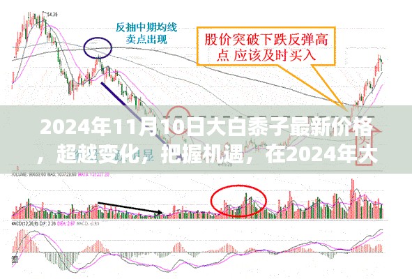 橘虞初梦 第8页