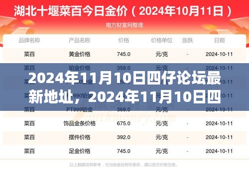 2024年11月10日四仔论坛最新地址全面解析与深度探讨揭秘