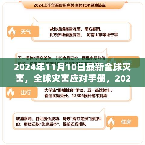 全球灾害应对手册，灾难应对技能与步骤指南（2024年最新）