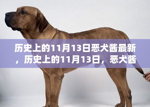 历史上的11月13日，恶犬酱的崭新篇章揭秘