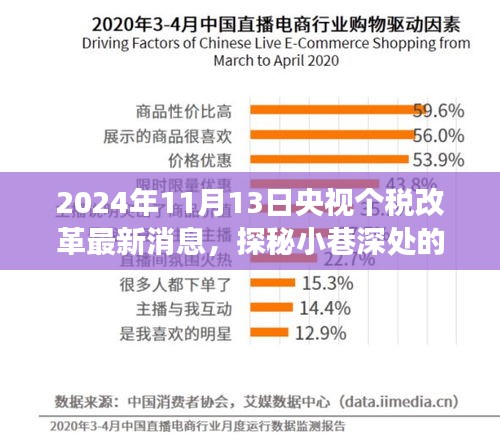 央视个税改革最新动态，揭秘小店魅力和改革背后的故事，2024年11月13日更新