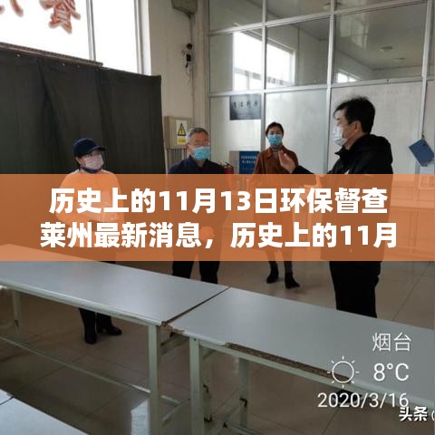 历史上的11月13日莱州环保督查最新进展，全面解读最新消息与执行步骤