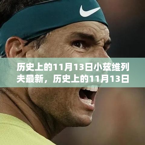 小兹维列夫在11月13日的辉煌表现，全面回顾与最新进展见证他的辉煌之路。