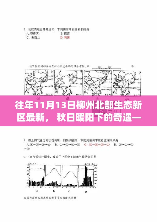 秋日暖阳下的奇遇，柳州北部生态新区11月13日的崭新风貌与温馨故事