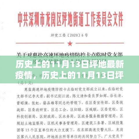 历史上的11月13日坪地疫情深度解析与最新现状报告