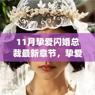 总裁挚爱闪婚生活的甜蜜日常最新章节