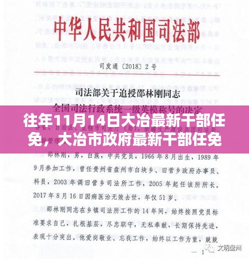 大冶市政府干部任免智能系统，科技重塑政务，智能引领未来新篇章