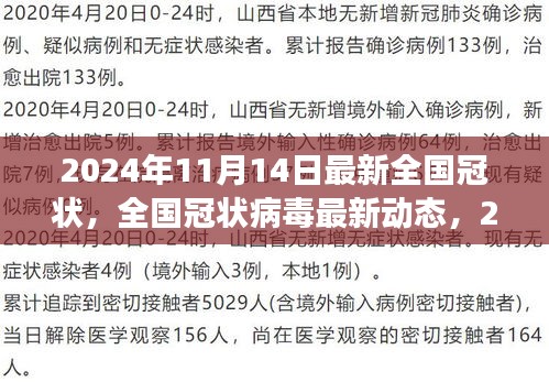 全国冠状病毒最新动态观察与解析，2024年11月14日观察报告