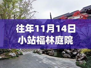 往年11月14日小站福林庭院最新价格分析与观点探讨