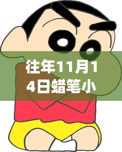 历年11月14日蜡笔小新深度探索之旅，新惊喜与新发现之旅