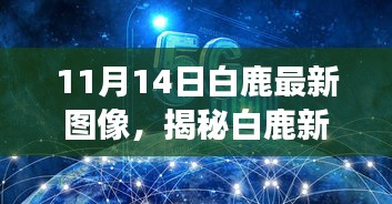 揭秘白鹿新貌，深度解读白鹿最新图像（11月14日）