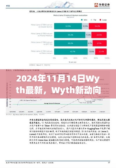 Wyth新动向解析，2024年11月14日的观点洞察