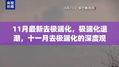 深度观察，十一月去极端化的最新进展与成效