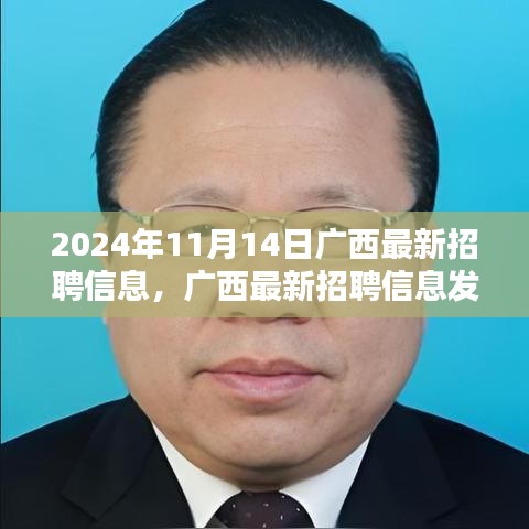 广西最新招聘信息发布及深度评测介绍（2024年11月14日）