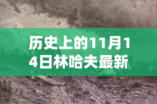 探寻林哈夫的历史篇章，最新11月14日揭秘