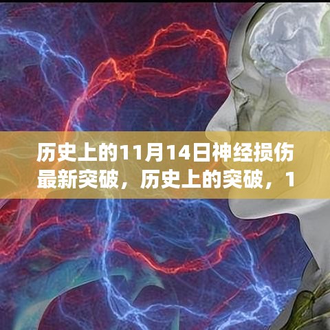 11月14日神经损伤领域革新进展深度评测，历史突破与最新技术突破标题建议，历史上的革新进展，神经损伤领域的深度探索与突破（日期聚焦，11月14日）