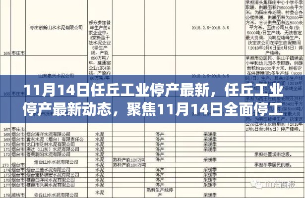 任丘工业停产最新动态揭秘，聚焦全面停工背后的故事（11月14日）