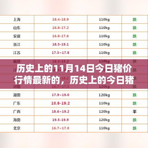 历史上的今日猪价行情概览与最新动态分析