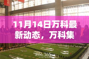 2024年11月15日 第14页