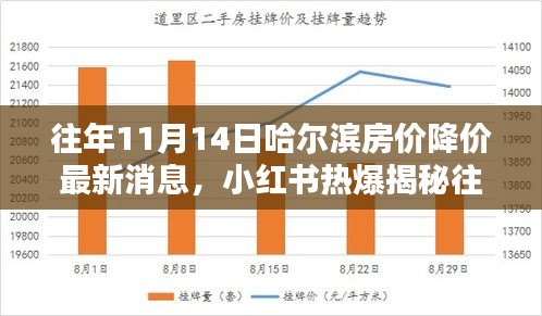 『揭秘往年11月14日哈尔滨房价降价真相与最新动态，小红书热爆热议房价走势』