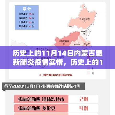 历史上的11月14日内蒙古最新肺炎疫情详解，共同抗击疫情的步伐